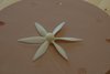 3D Printed items  - Propellor 2